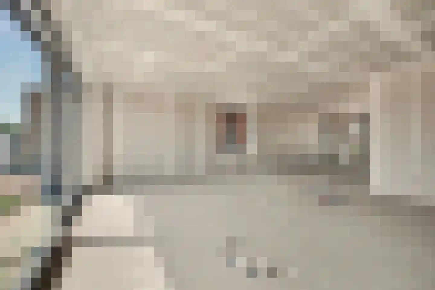 Meander 28 Huissen thumbnail 9