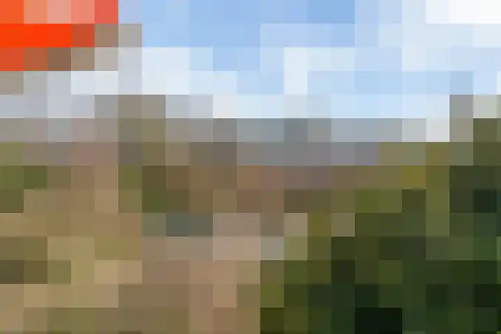 Meander 295 Amstelveen thumbnail 10