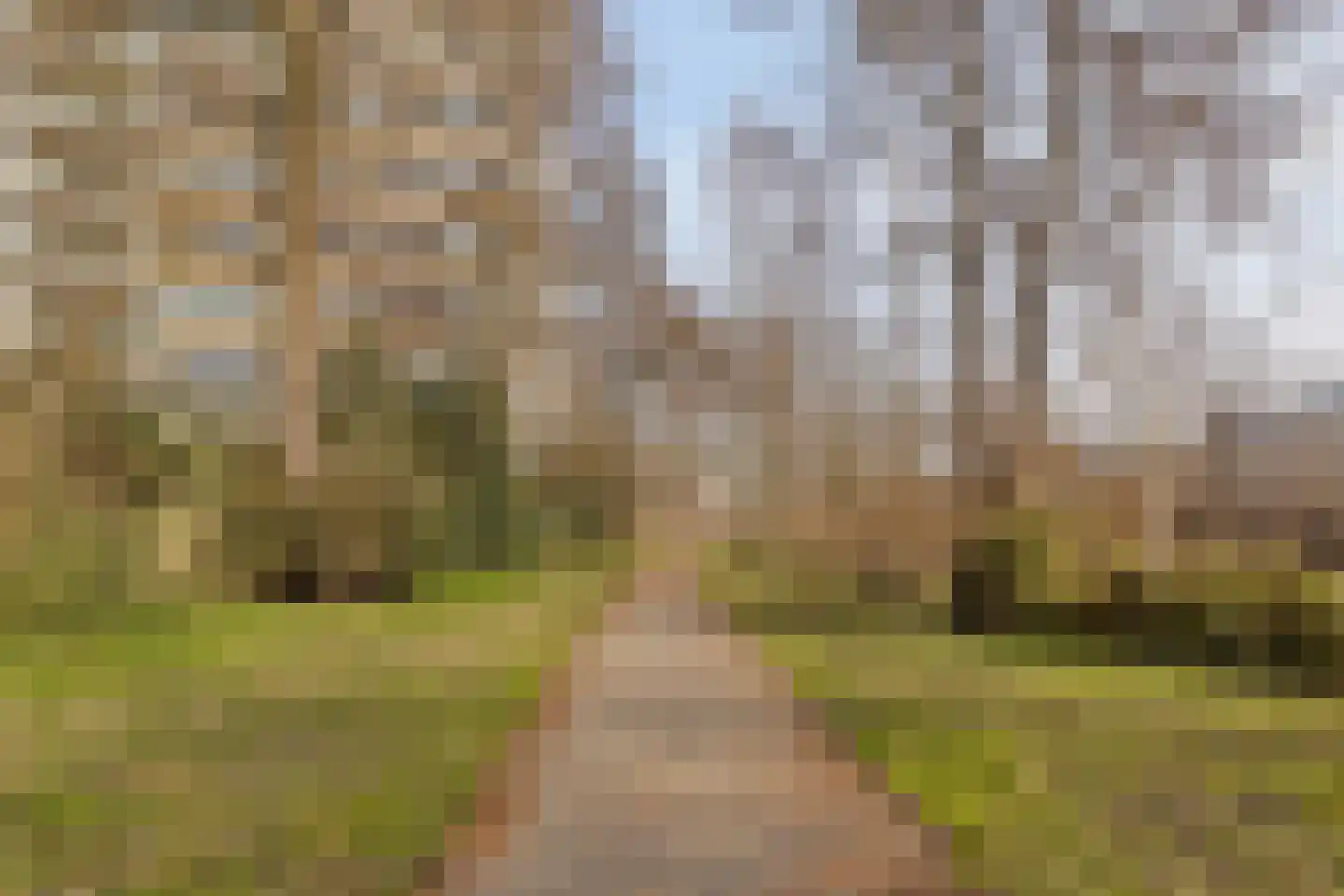 Meander 297 Amstelveen thumbnail 28