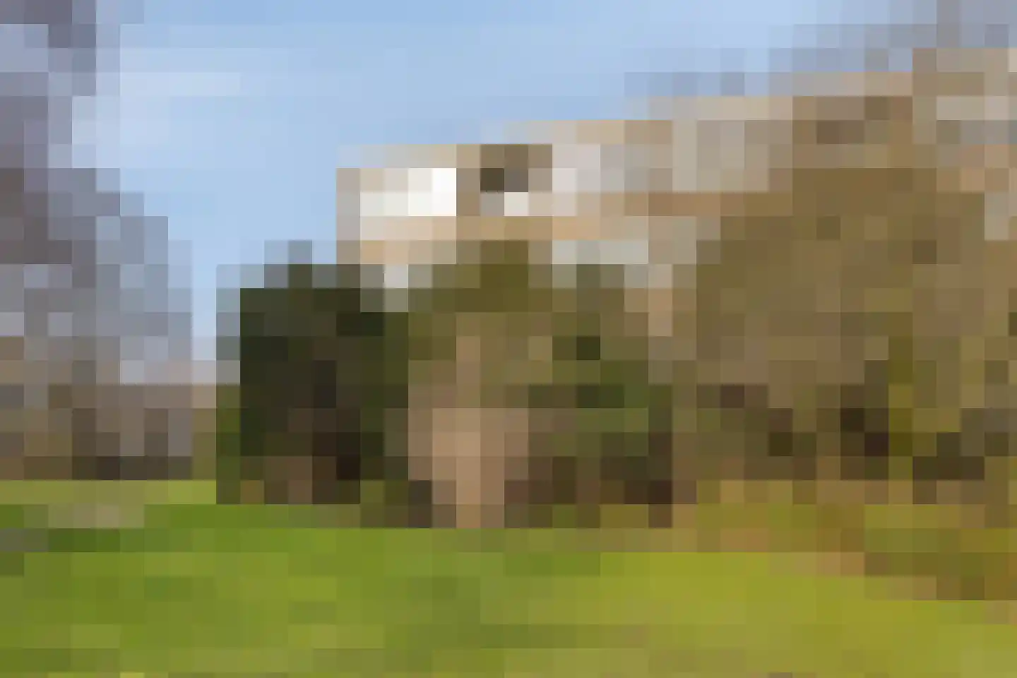 Meander 297 Amstelveen thumbnail 31