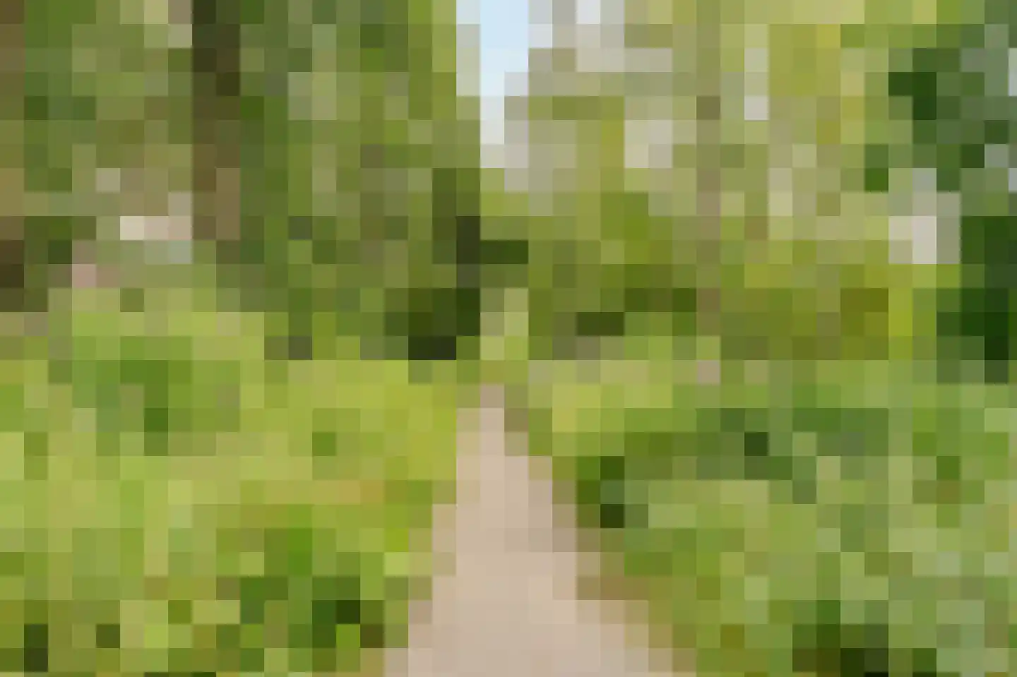 Meander 329 Amstelveen thumbnail 29