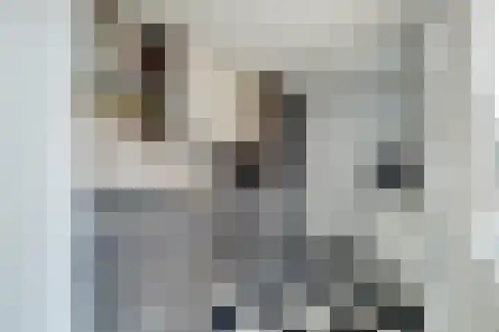 Meander 35 Andijk thumbnail 7