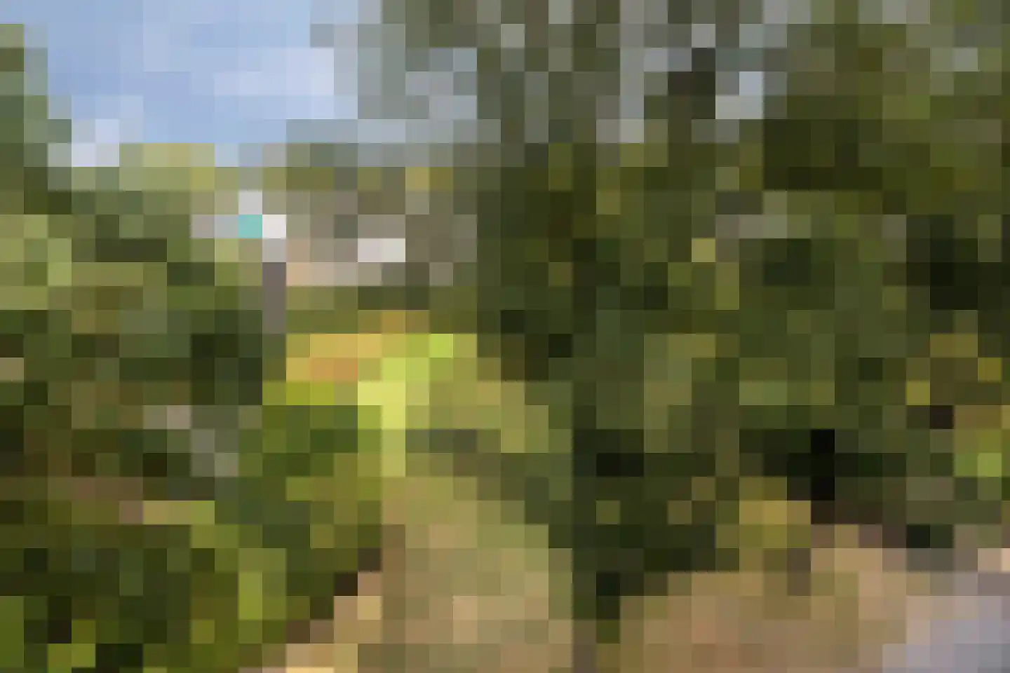 Meander 361 Amstelveen thumbnail 15