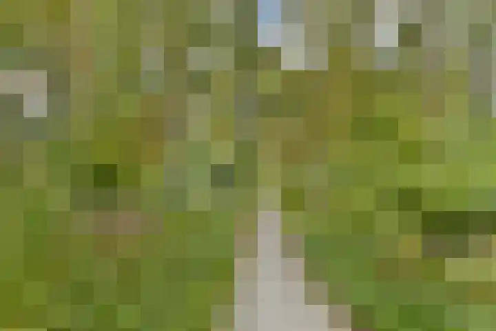 Meander 367 Amstelveen thumbnail 20