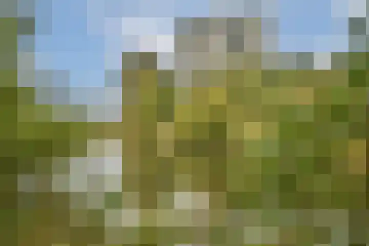 Meander 367 Amstelveen thumbnail 21