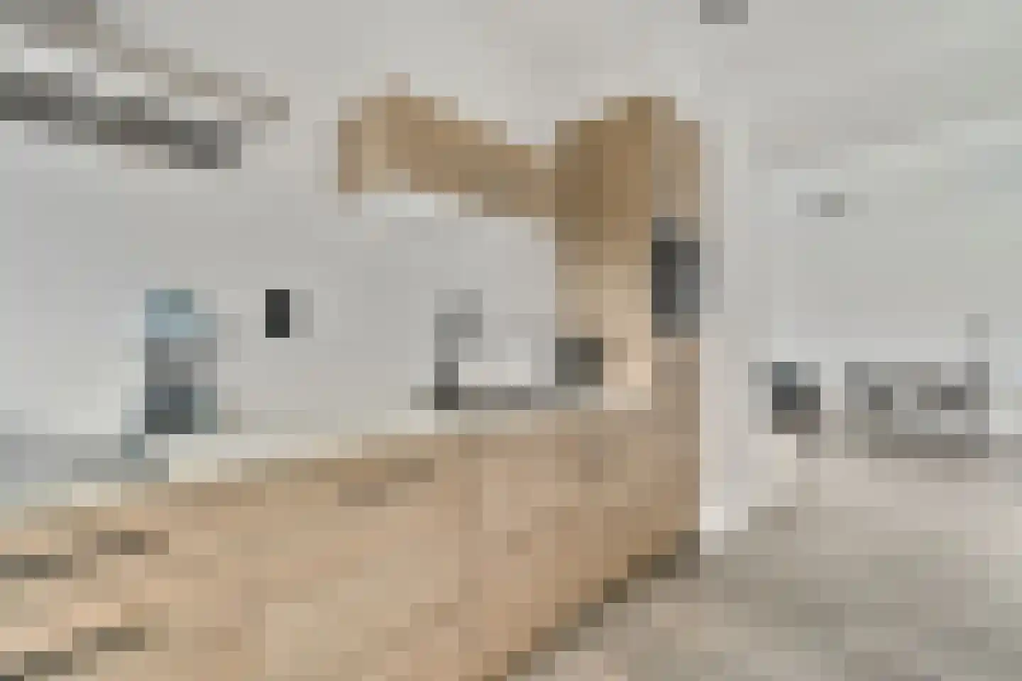 Meander 371 Amstelveen thumbnail 10