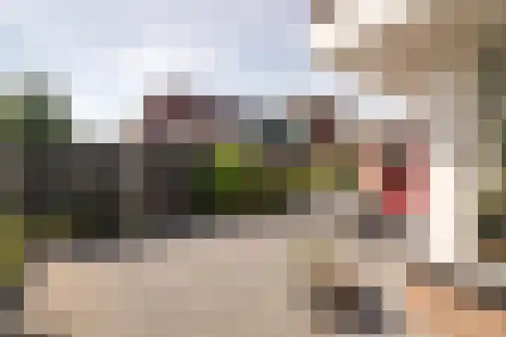 Meander 38 Andijk thumbnail 30