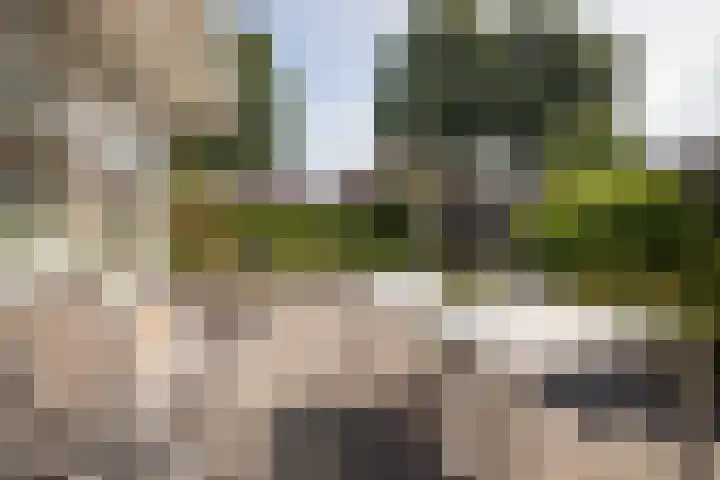 Meander 38 Andijk thumbnail 32