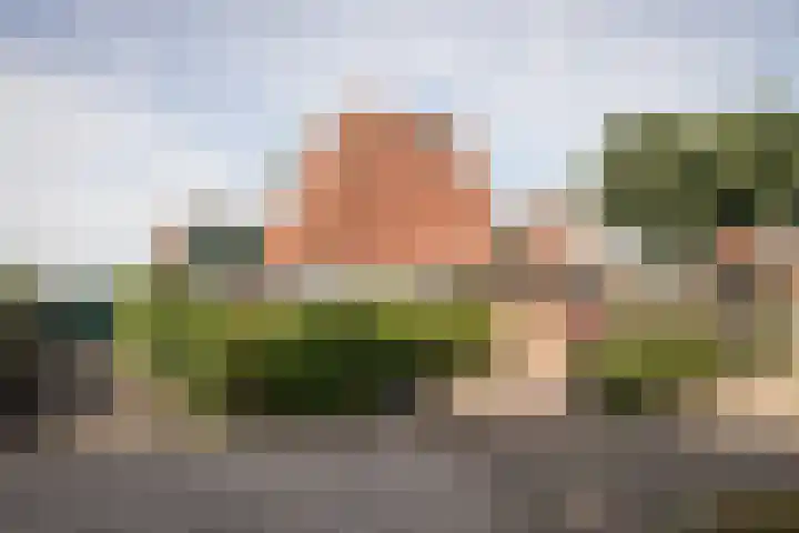 Meander 38 Andijk thumbnail 57