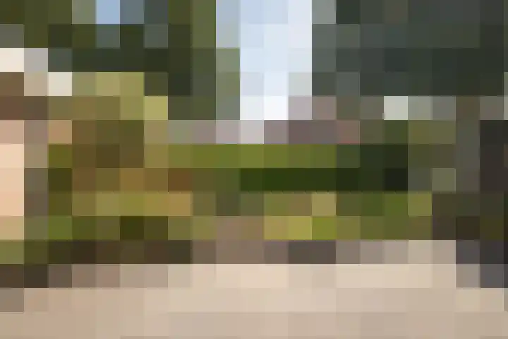 Meander 38 Andijk thumbnail 6