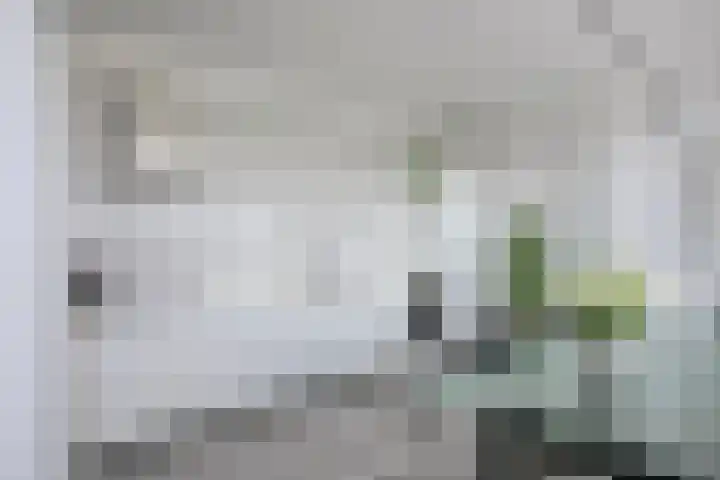 Meander 395 Amstelveen thumbnail 11