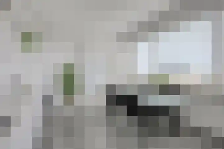 Meander 395 Amstelveen thumbnail 12