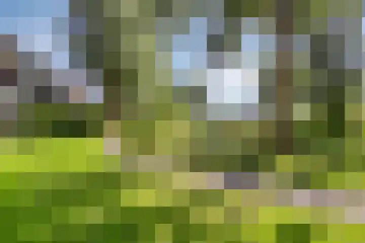 Meander 395 Amstelveen thumbnail 31