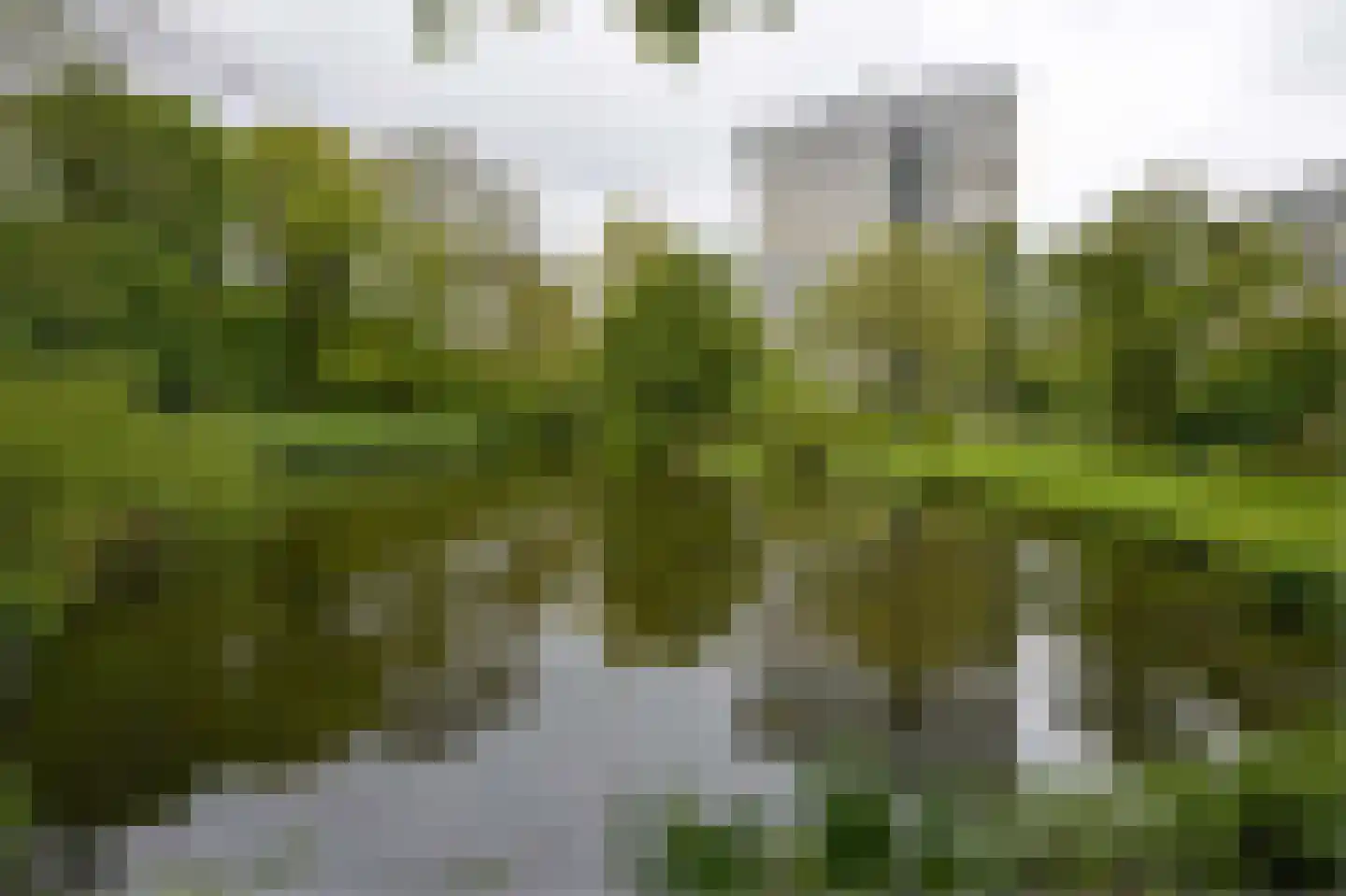 Meander 407 Amstelveen thumbnail 20