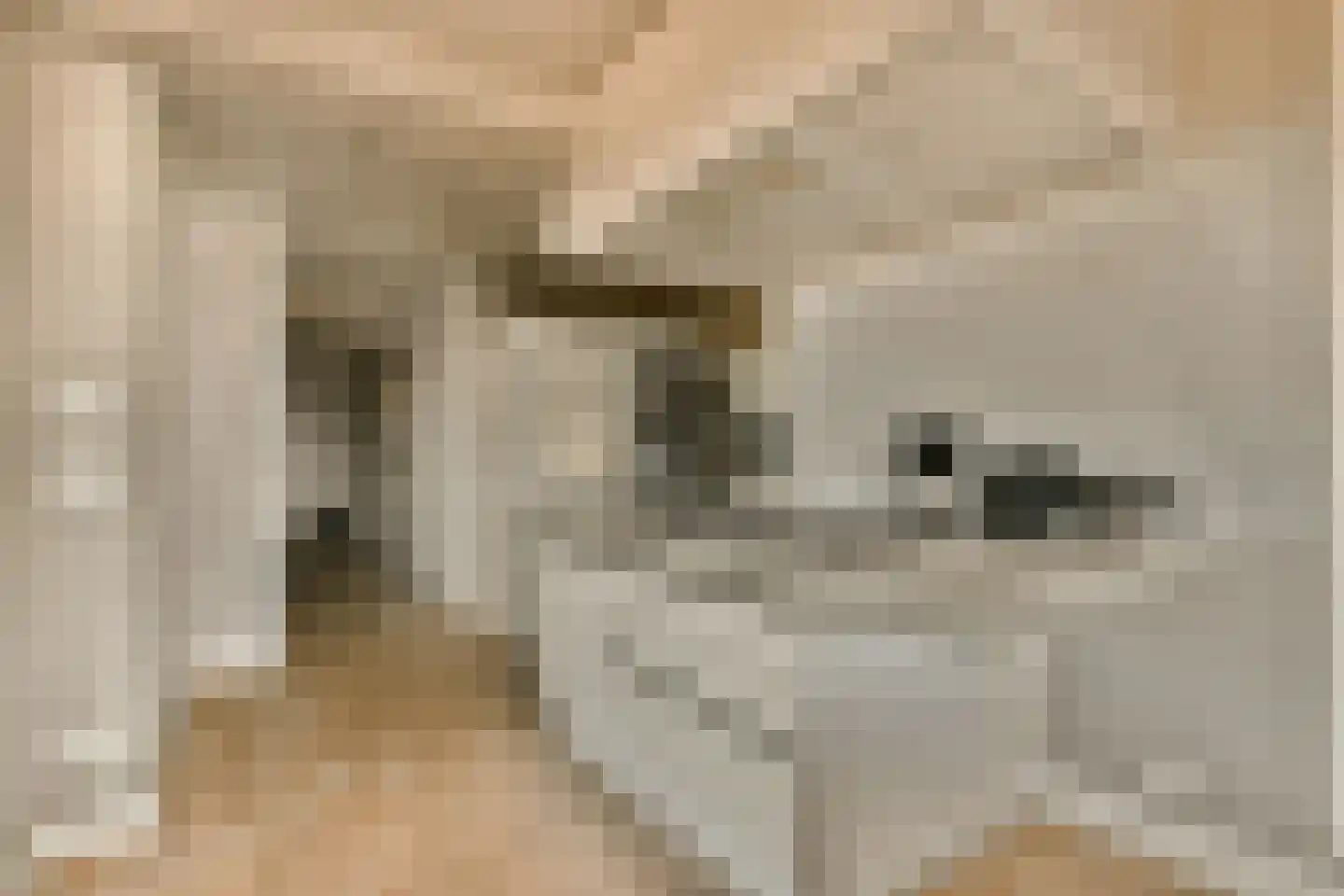 Meander 407 Amstelveen thumbnail 4
