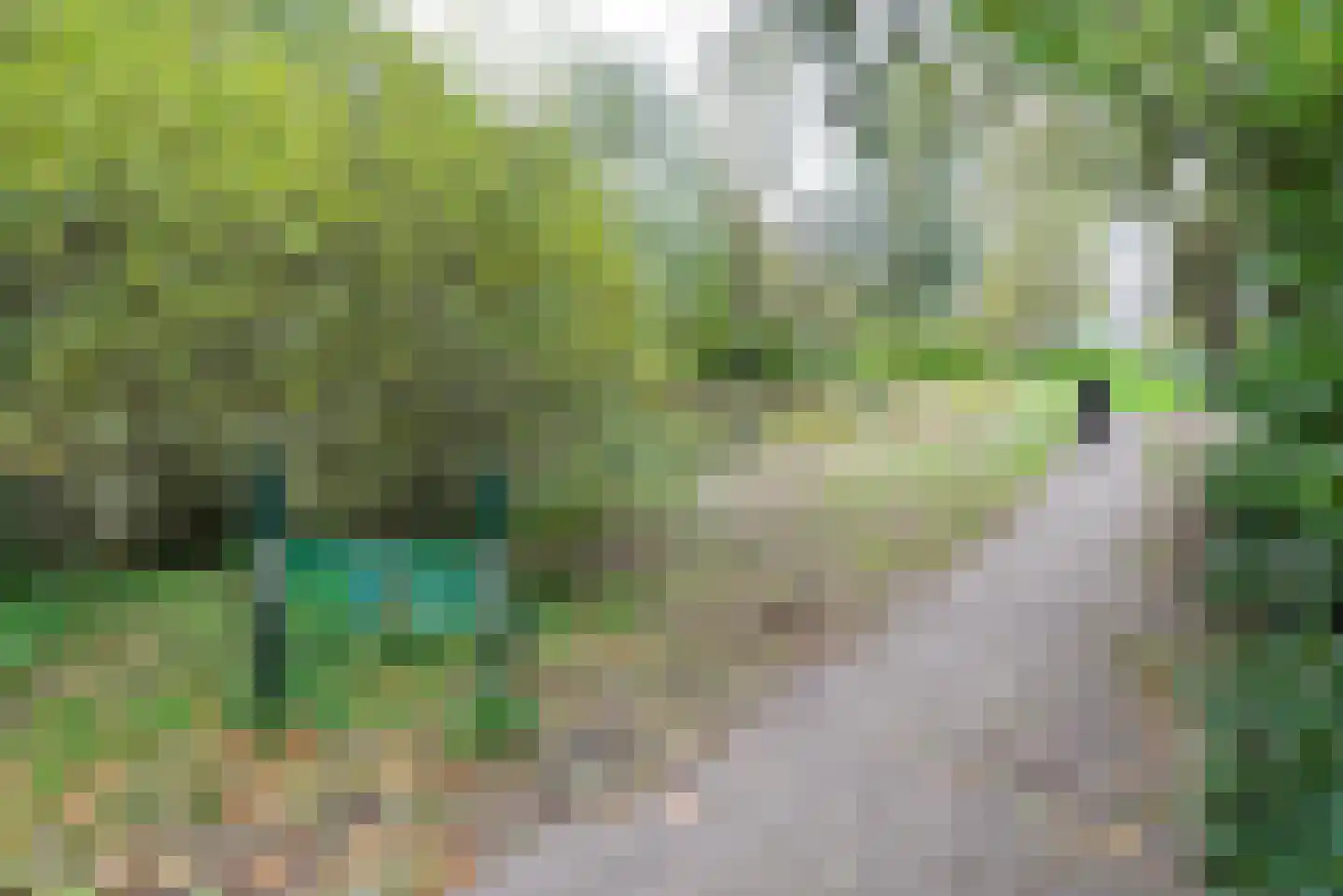 Meander 485 Amstelveen thumbnail 16