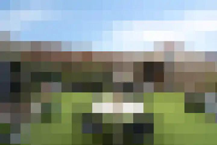 Meander 5 Swalmen thumbnail 39