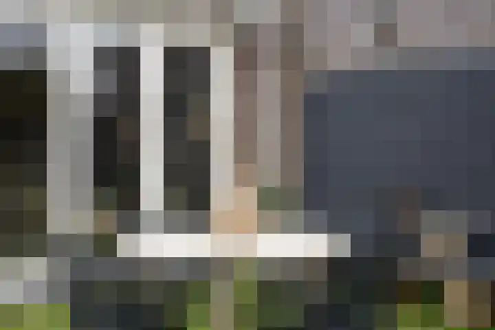 Meander 5 Swalmen thumbnail 43