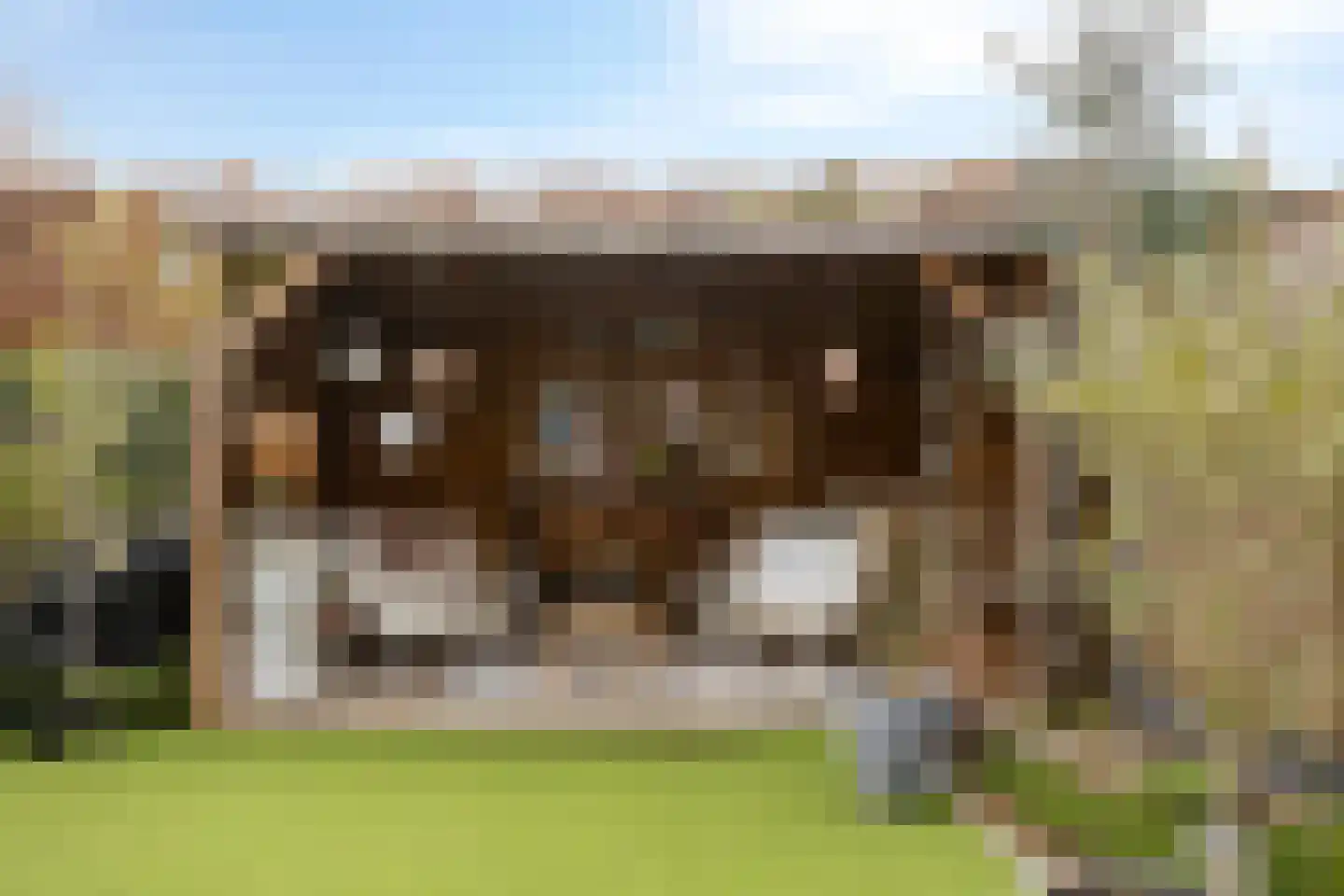 Meander 5 Swalmen thumbnail 45