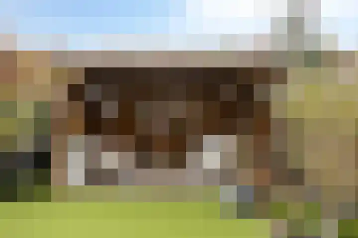 Meander 5 Swalmen thumbnail 45