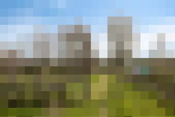 Meander 5 Swalmen thumbnail 50