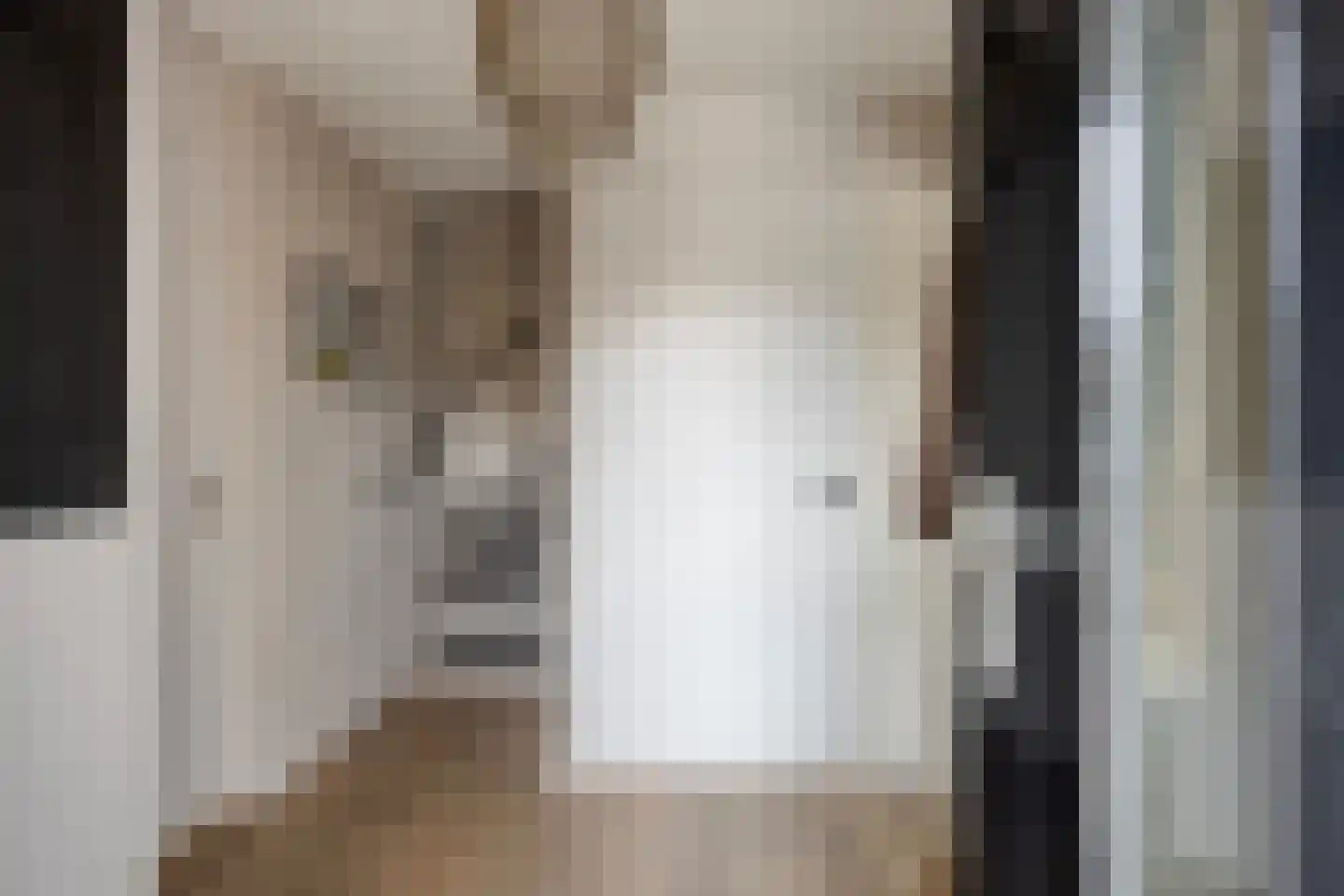 Meander 5 Swalmen thumbnail 6