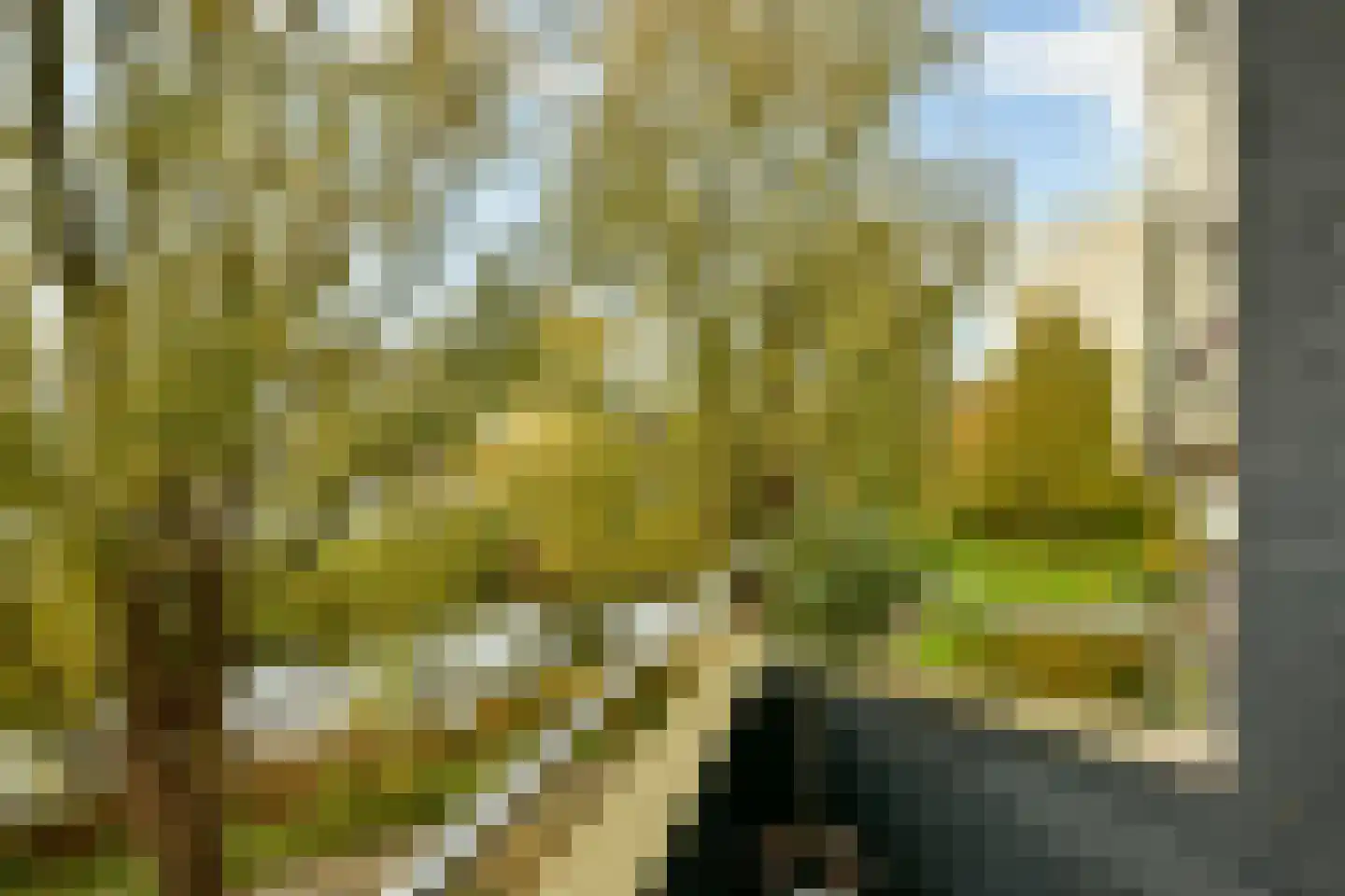 Meander 553 Amstelveen thumbnail 13