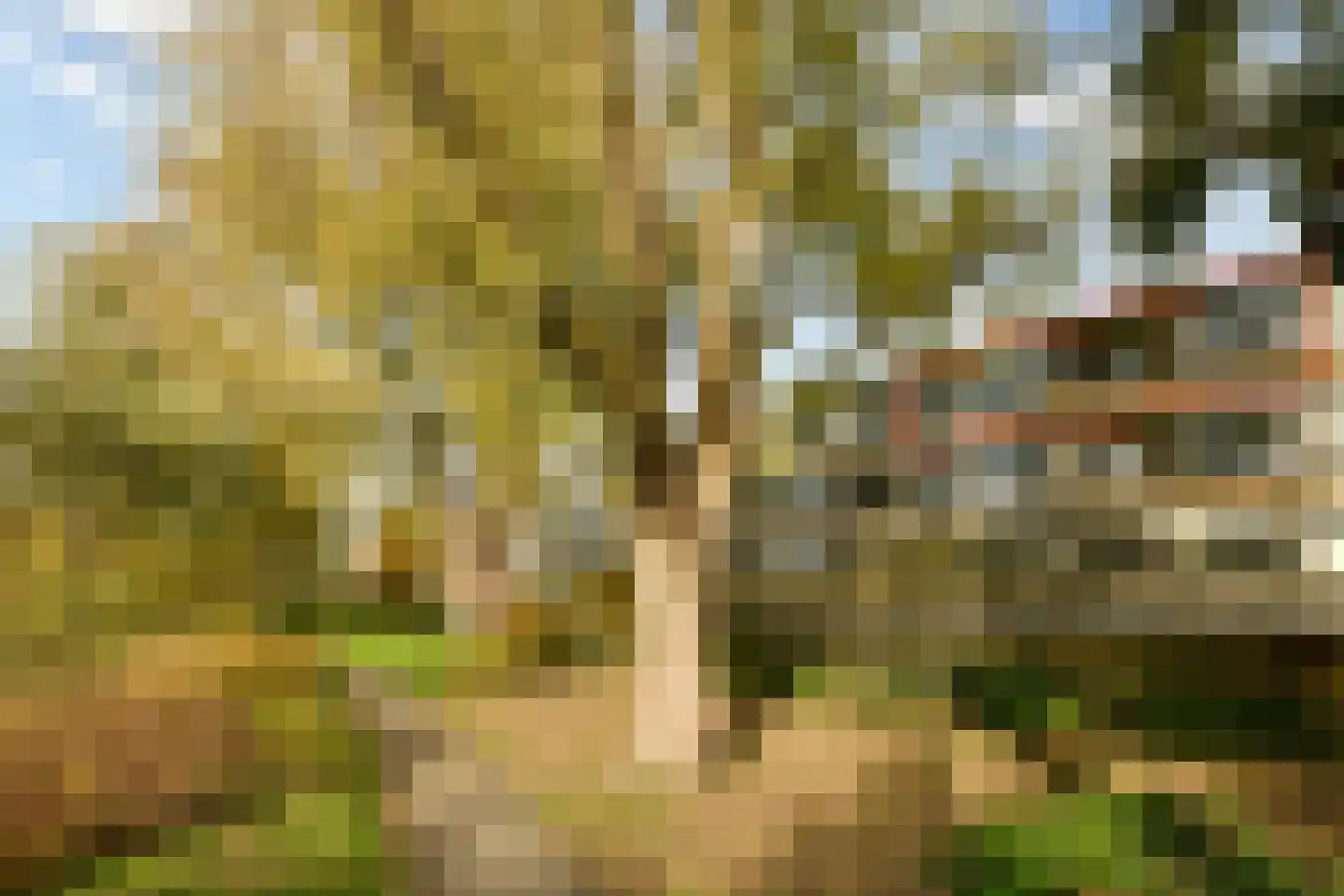 Meander 553 Amstelveen thumbnail 20