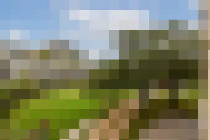 Meander 569 Amstelveen thumbnail 11