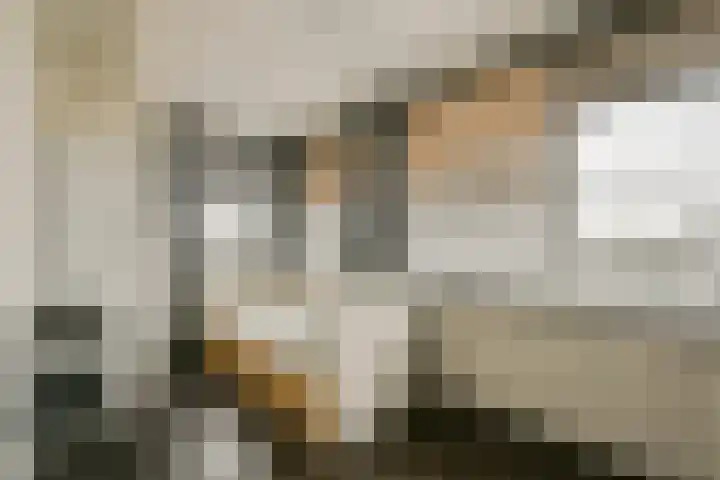 Meander 629 Amstelveen thumbnail 22