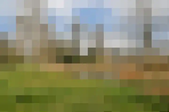 Meander 629 Amstelveen thumbnail 26
