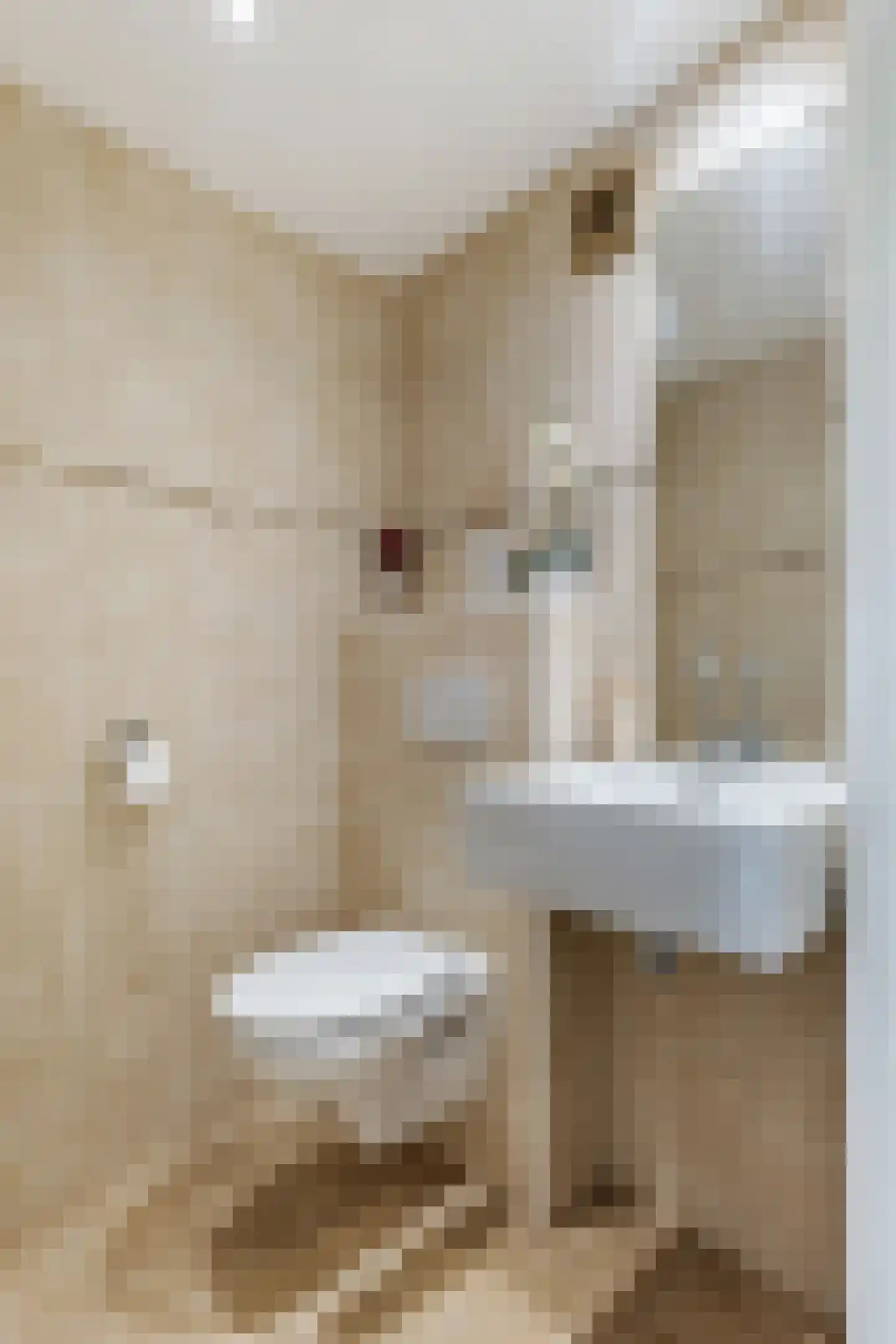 Meander 641 Amstelveen thumbnail 10