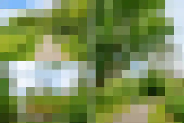 Meander 65 Amstelveen thumbnail 28