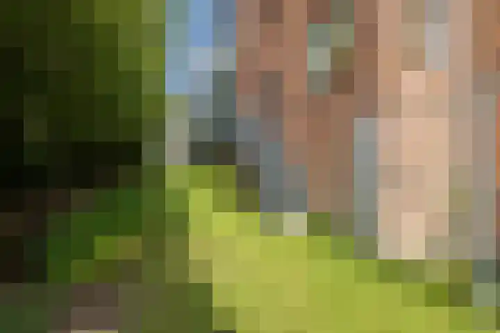 Meander 68 Noordwijkerhout thumbnail 36