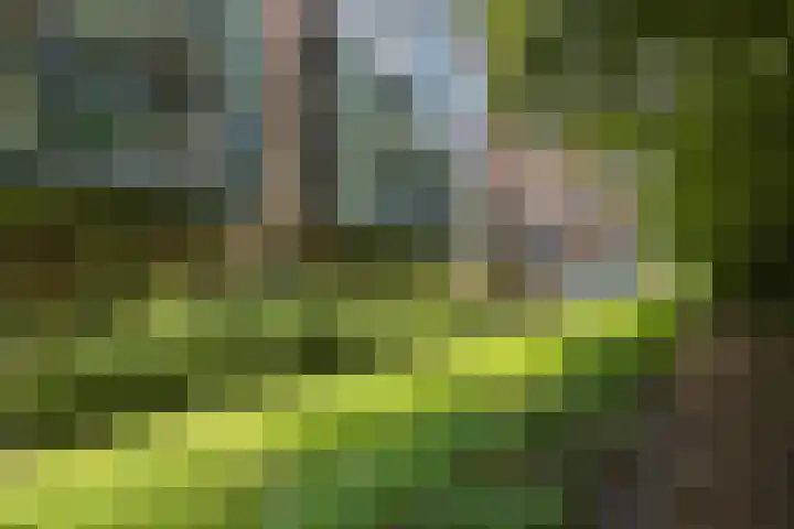 Meander 68 Noordwijkerhout thumbnail 37