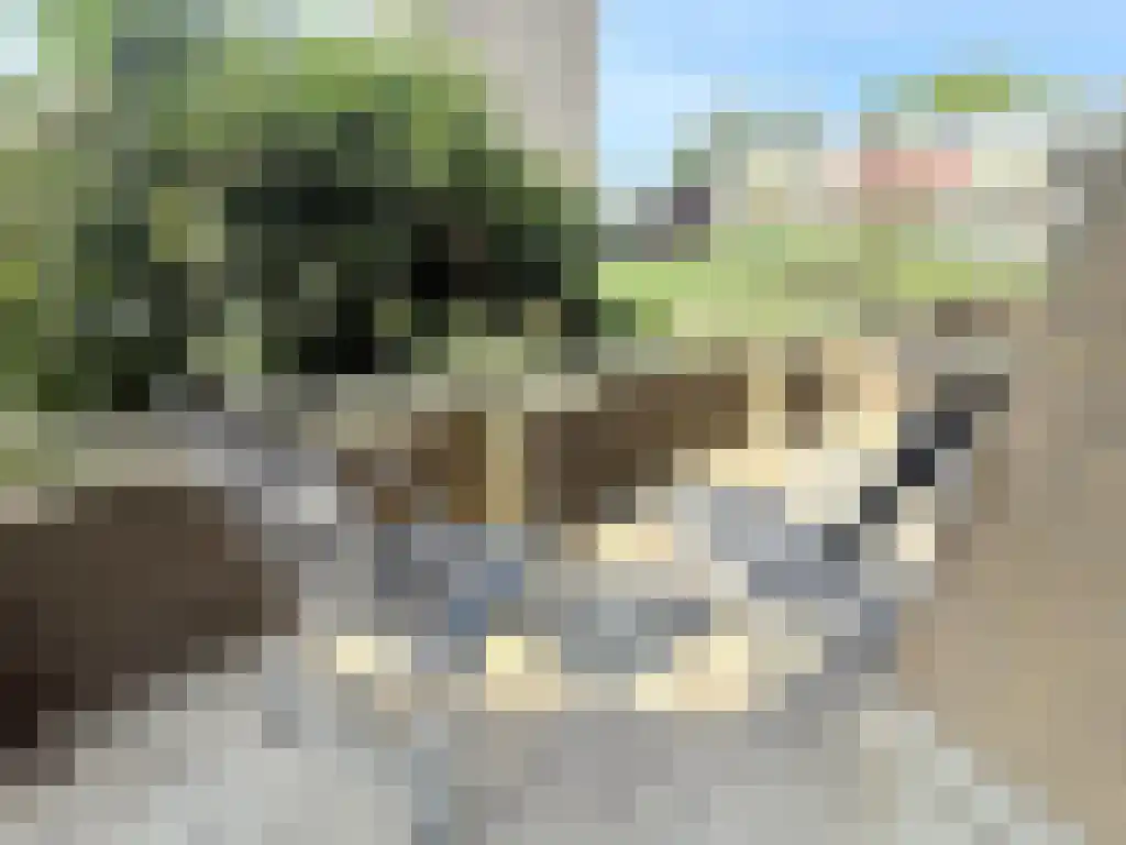Meander 697 Amstelveen thumbnail 6