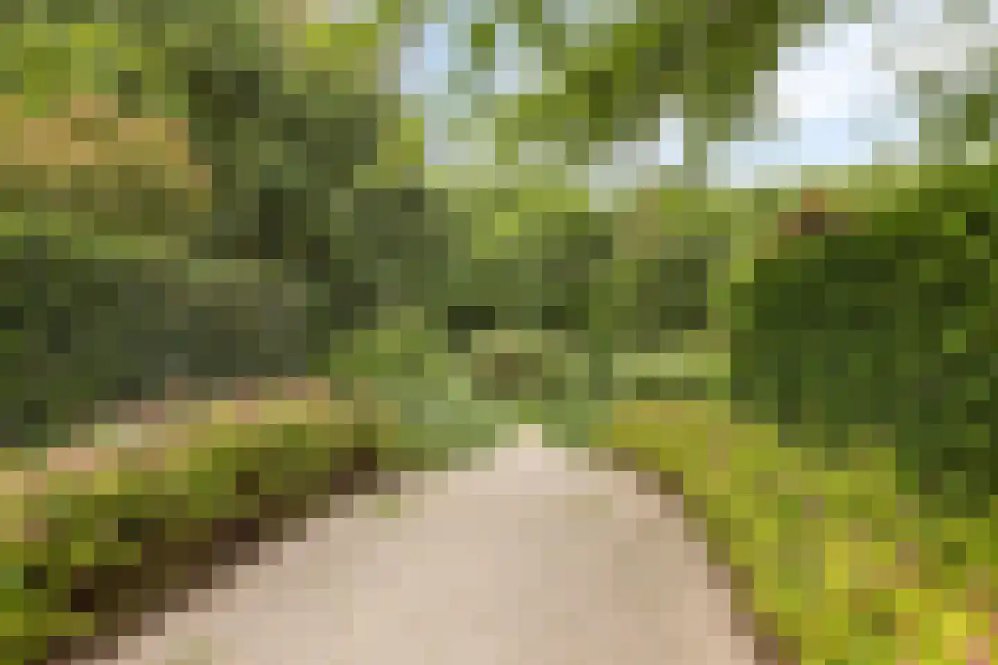 Meander 72 Swalmen thumbnail 36