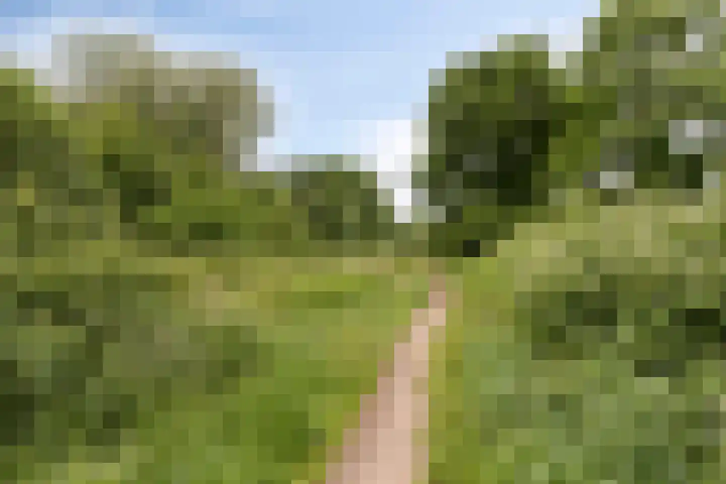Meander 72 Swalmen thumbnail 37