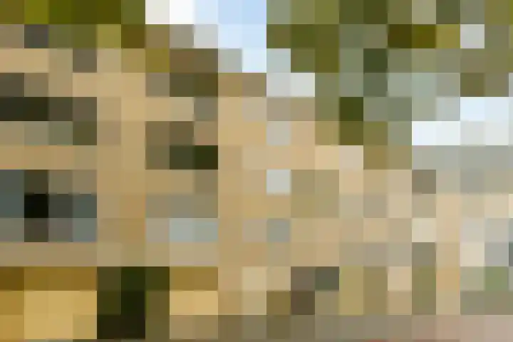 Meander 733 Amstelveen thumbnail 4