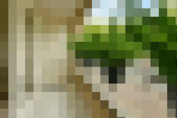 Meander 733 Amstelveen thumbnail 9