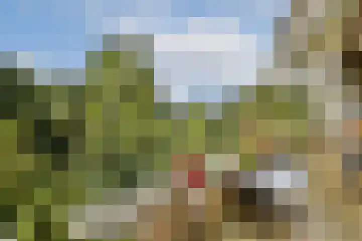 Meander 777 Amstelveen thumbnail 8