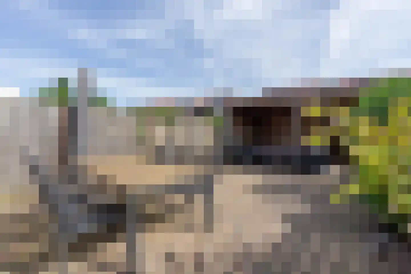 Meander 78 Bemmel thumbnail 29