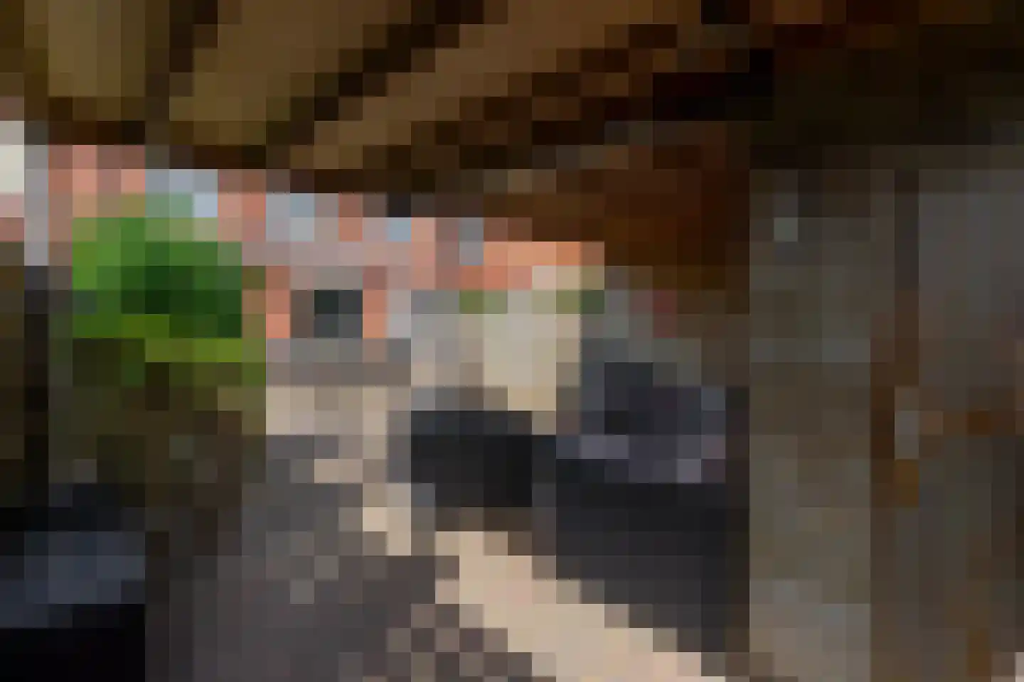 Meander 78 Bemmel thumbnail 35
