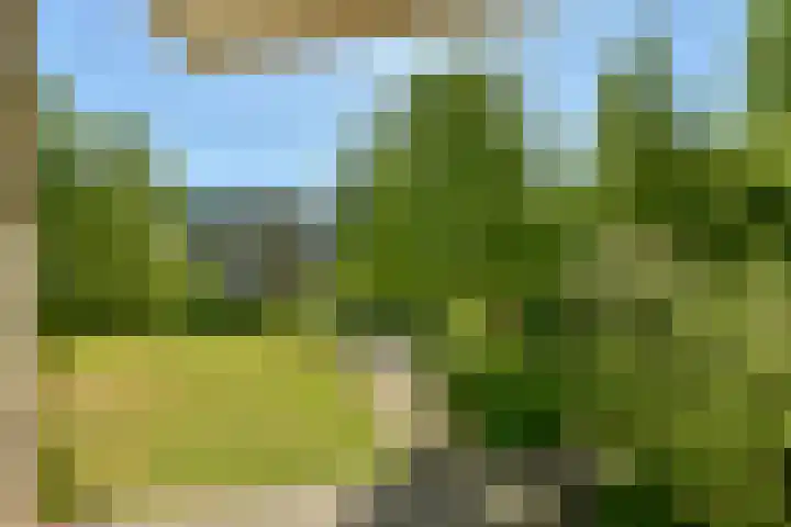 Meander 795 Amstelveen thumbnail 12
