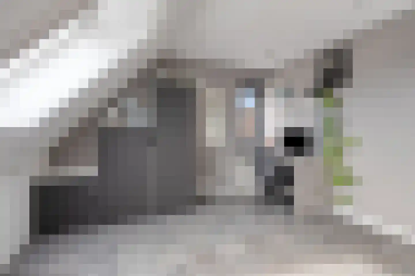 Meander 8 Rosmalen thumbnail 30