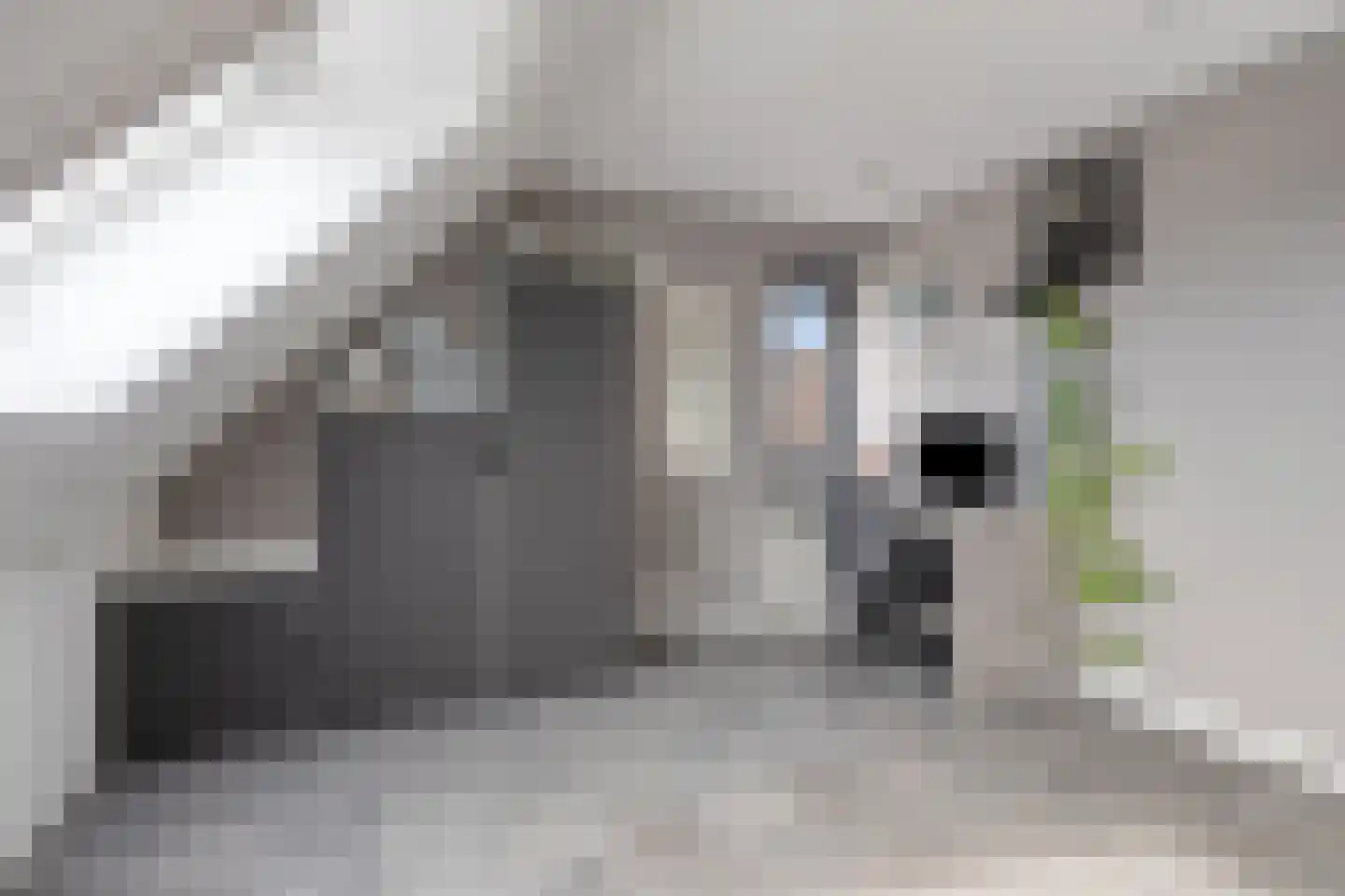 Meander 8 Rosmalen thumbnail 30