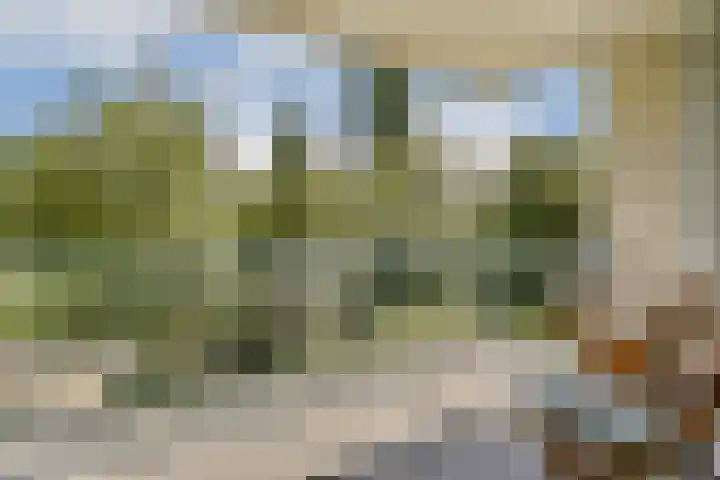 Meander 803 Amstelveen thumbnail 4