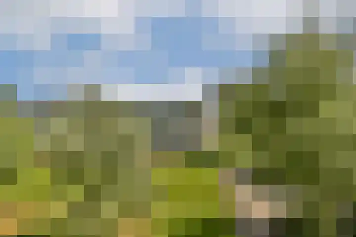 Meander 803 Amstelveen thumbnail 9