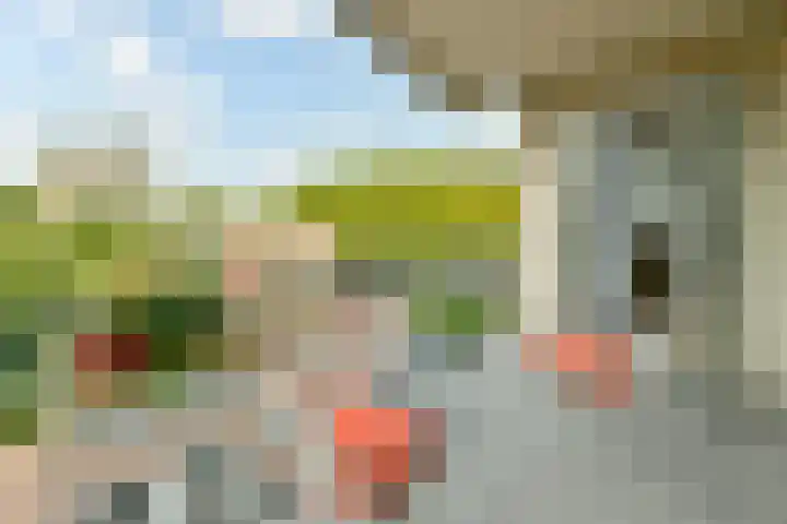 Meander 817 Amstelveen thumbnail 14