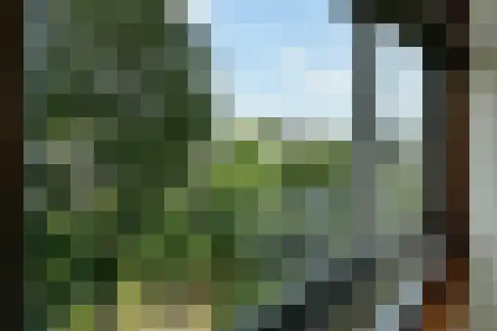 Meander 817 Amstelveen thumbnail 6